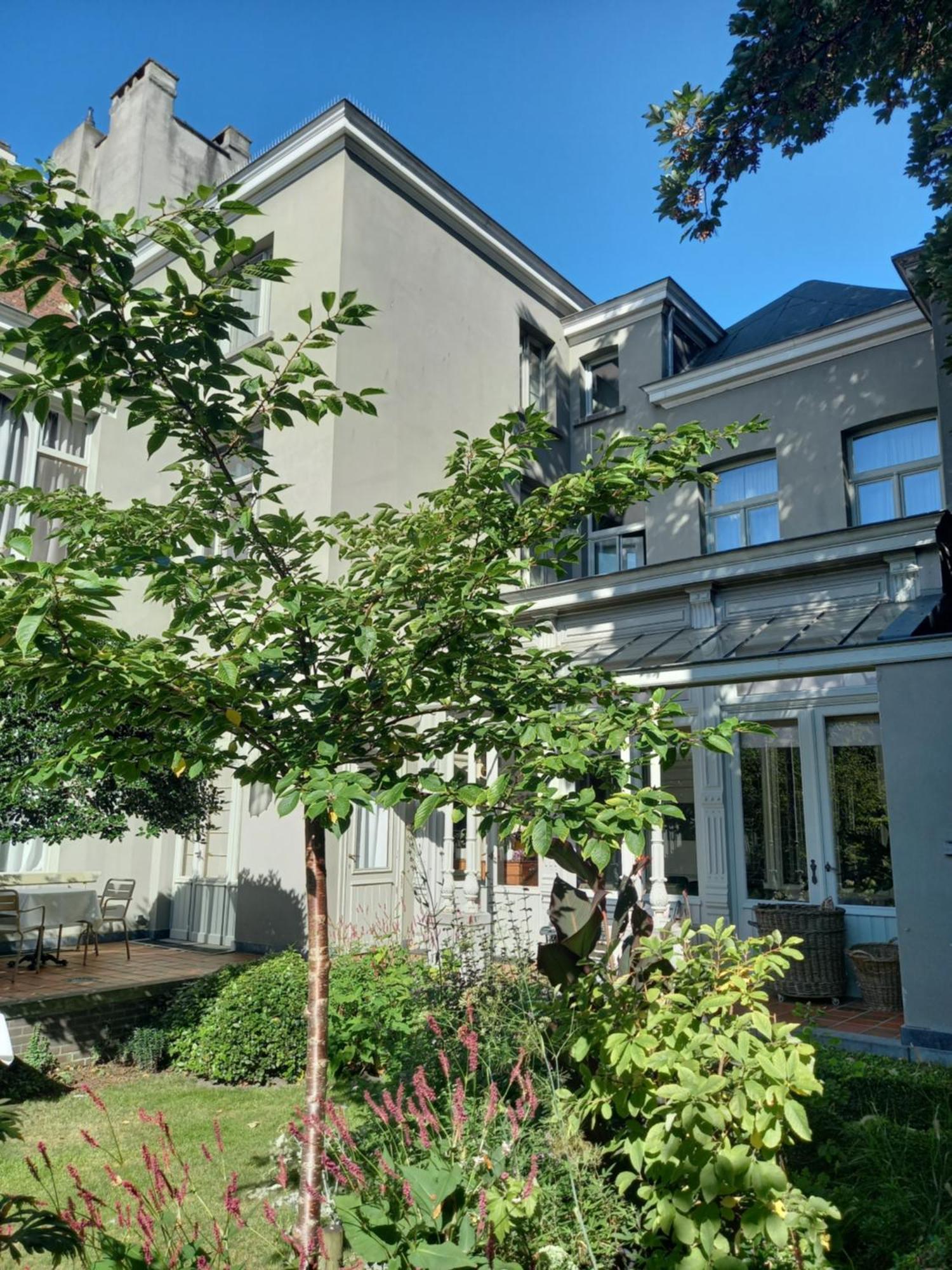 Huis Dujardin Bed&Breakfast Αμβέρσα Εξωτερικό φωτογραφία