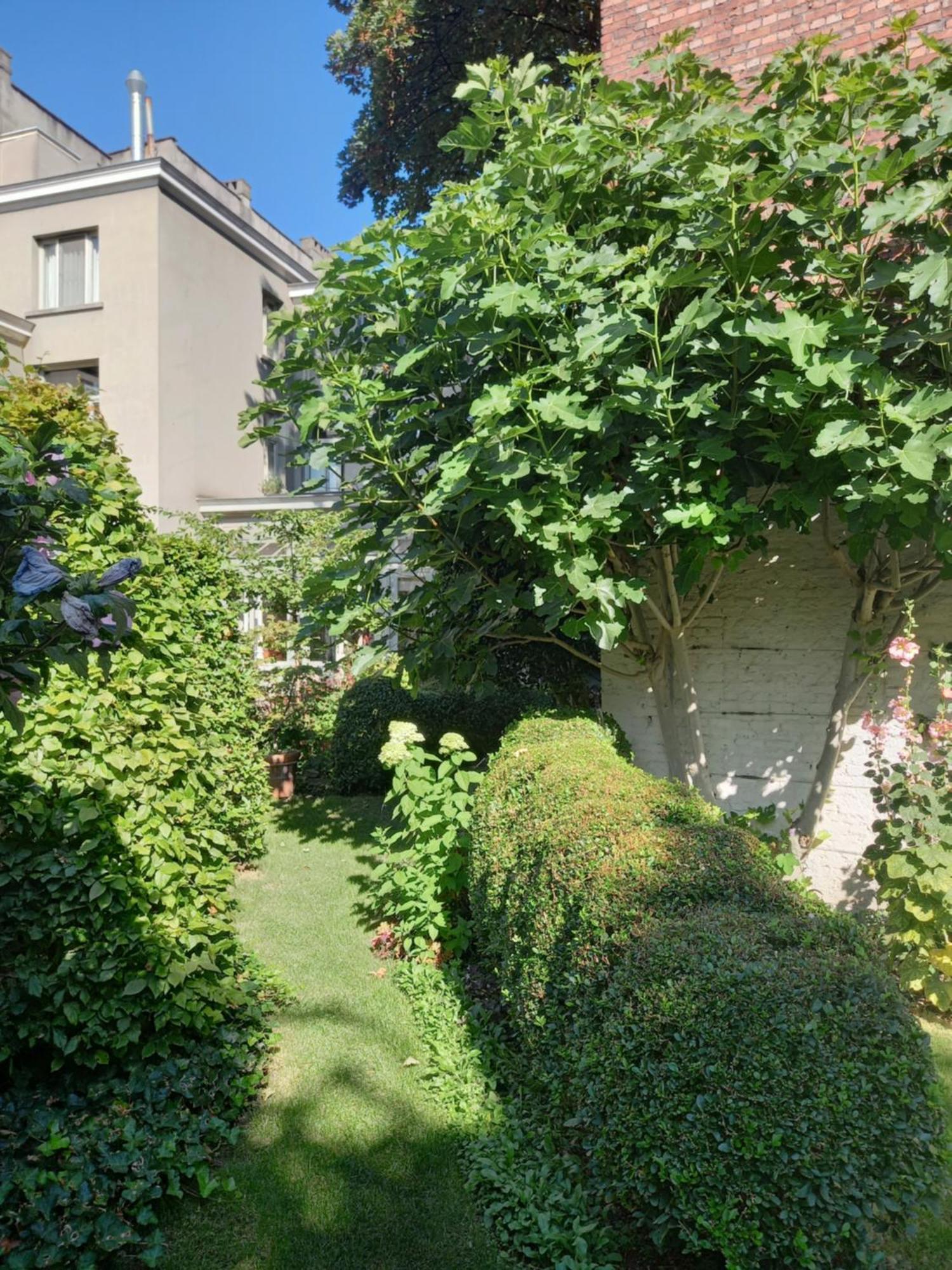Huis Dujardin Bed&Breakfast Αμβέρσα Εξωτερικό φωτογραφία