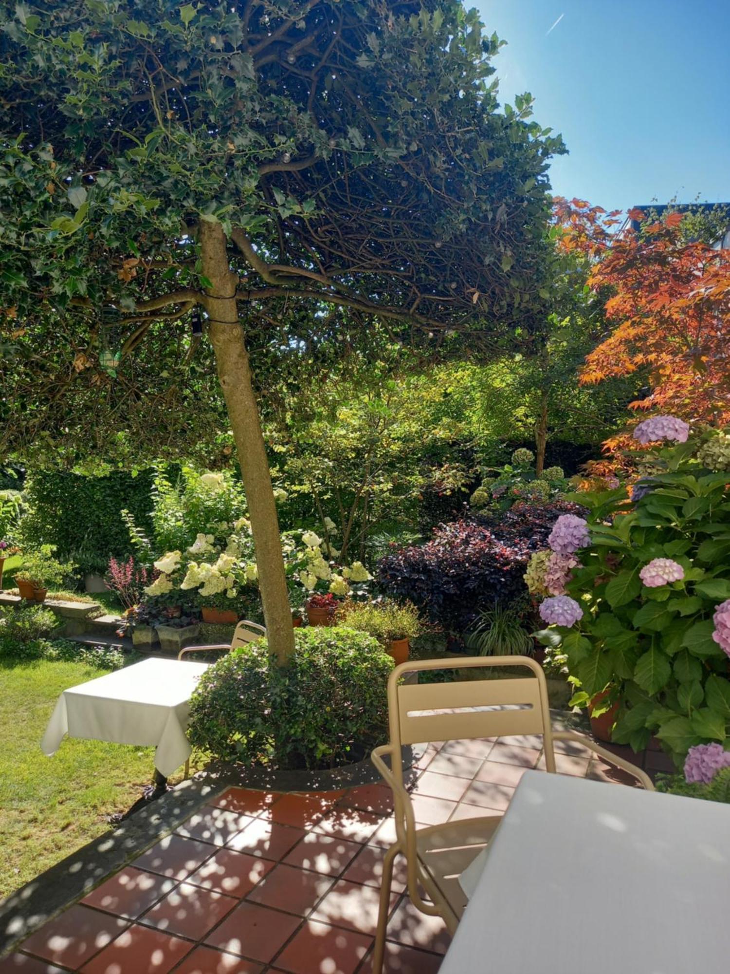 Huis Dujardin Bed&Breakfast Αμβέρσα Εξωτερικό φωτογραφία
