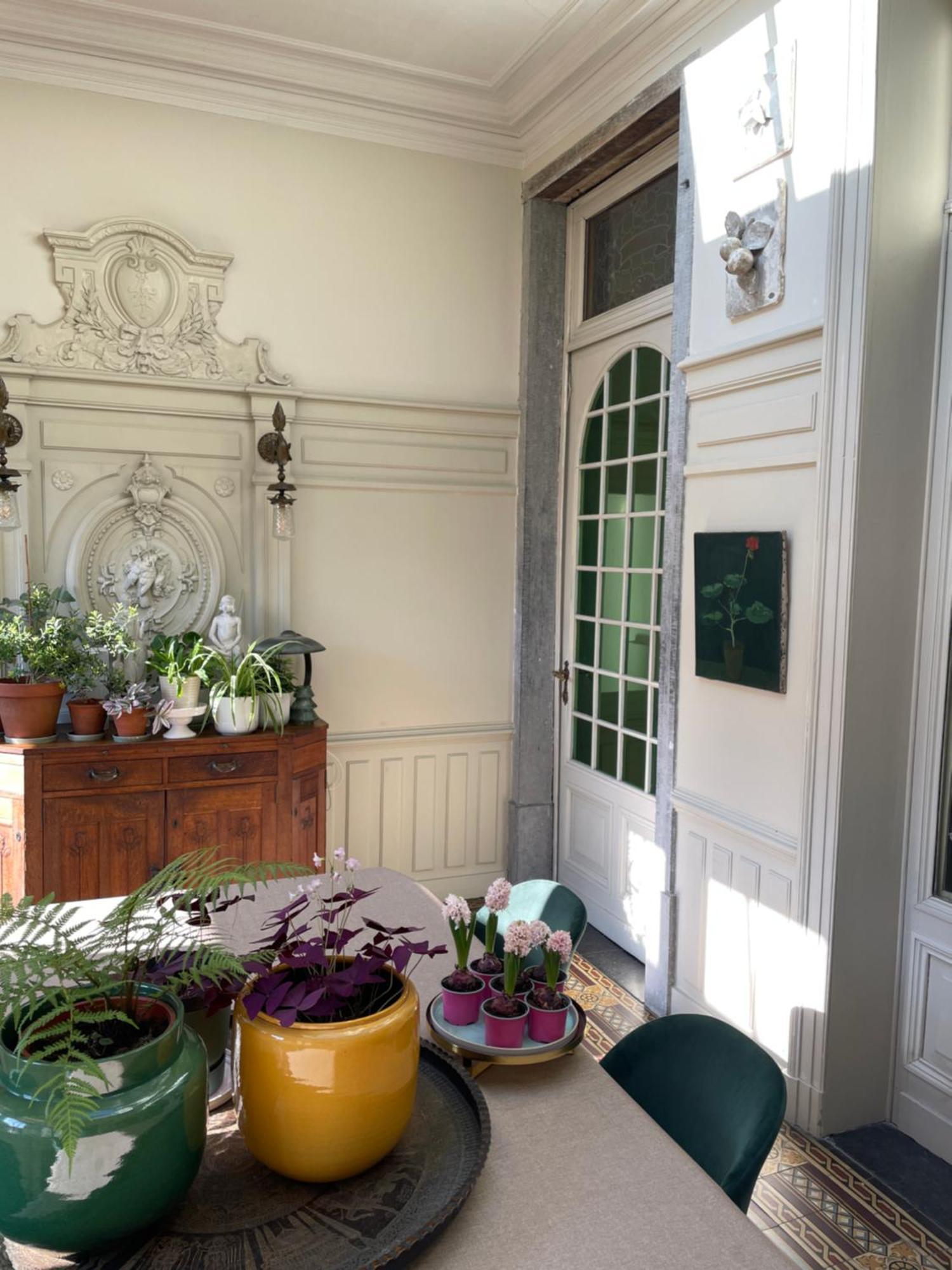 Huis Dujardin Bed&Breakfast Αμβέρσα Εξωτερικό φωτογραφία